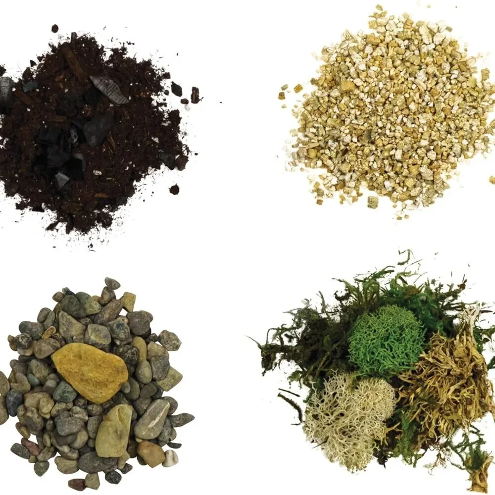 Terrarium Starter Kit | Moss, Vermiculite, Soil, Pebbles, Plant Food, Finishing - Picture 4 of 7